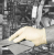 Latex Clear Powder Free Gloves - Medium Latex Clear Powder Free Gloves - Medium