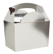 Party / Meal Boxes - Plain Silver