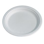 9.75inch / 24cm Chinet White Molded Fibre Plates