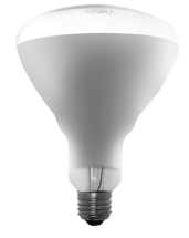 Buffalo Shatterproof Heat Lamp ES - 250watt for CN316 DL492