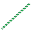 Fiesta Compostable Smoothie Paper Straw Green Stripe - 210mm - Pack 250